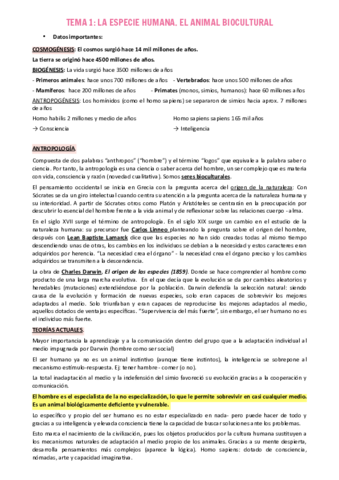 TEMA-1.pdf