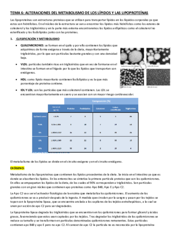 TEMA-6.pdf