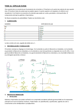 TEMA-16.pdf