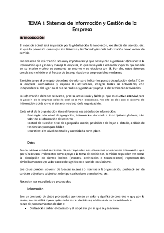Sistemas-de-Informacion-Teoria.pdf