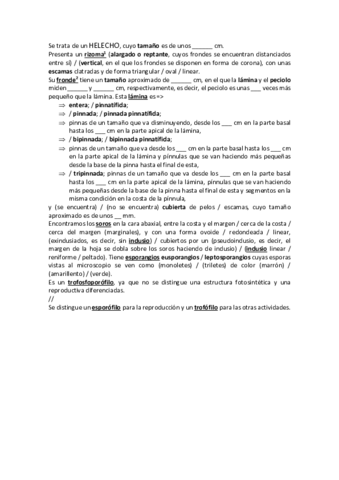 Descripciones-redactadas.pdf
