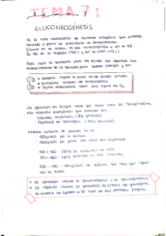 tema7.pdf