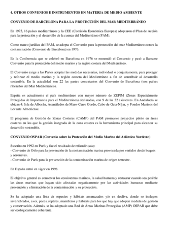 4-Otros-convenios-e-instrumentos.pdf