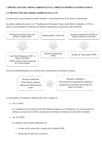 1-Proteccion-MA.pdf