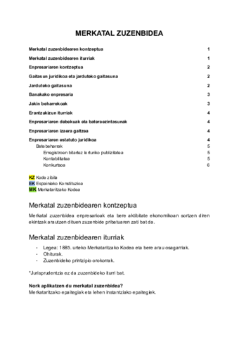 Merkatal-zuzenbidea.pdf