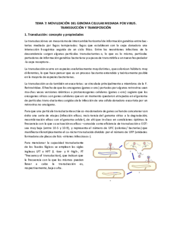 TEMA-7.pdf