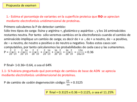 PROPUESTA-EXAMEN.pdf