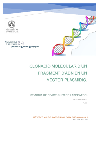 Memoria-de-practiques-MMB.pdf