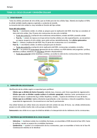TEMA-12-Ciclo-celular-y-division-celular.pdf