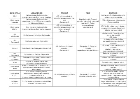 Palpacio-Taula-resum.pdf