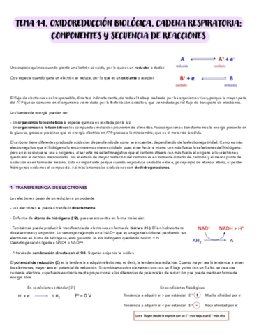 TEMA-14-OXIDOREDUCCION-BIOLOGICA.pdf