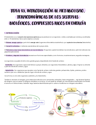 TEMA-13-INTRODUCCION-AL-METABOLISMO.pdf