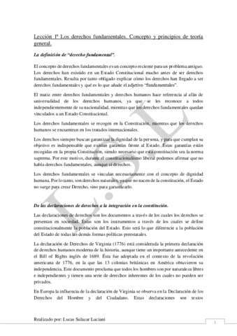 Apuntes-Derecho-Constitucional-III.pdf
