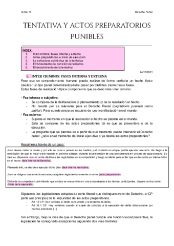 Tema-11-Tentativa-y-actos-preparatorios-punibles.pdf