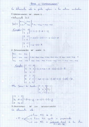 Apuntes-Determinantes.pdf