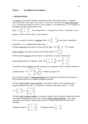 1-2o-MATRICES-teoria.pdf