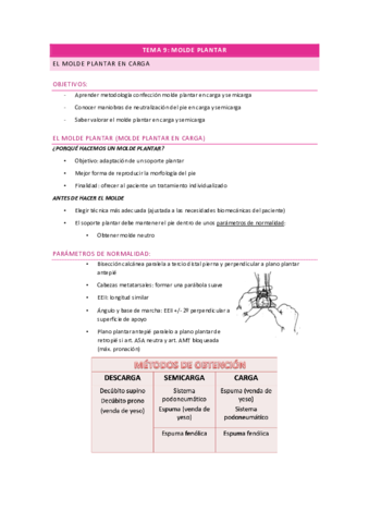 Orto-T9.pdf