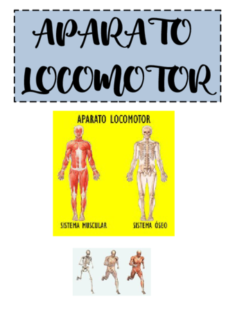 APARATO-LOCOMOTOR-TBE.pdf