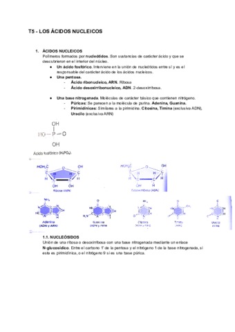 Tema5AcidosNucleicos.pdf