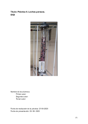 P6-LECHOS-POROSOS.pdf