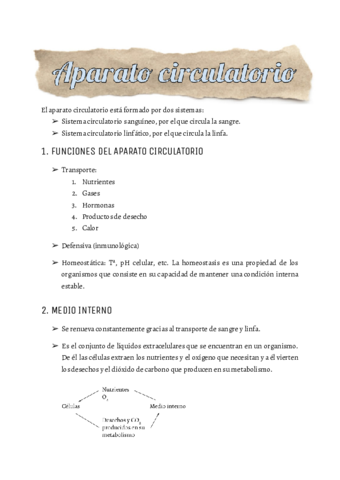RESUMEN-ANATOMIA.pdf