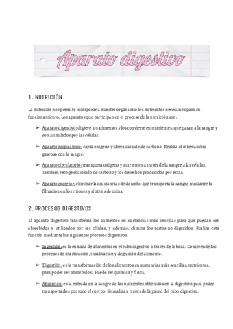 RESUMEN-ANATOMIA-1.pdf