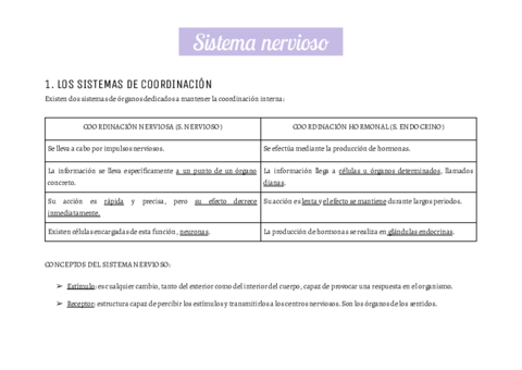 RESUMEN-ANATOMIA-2.pdf