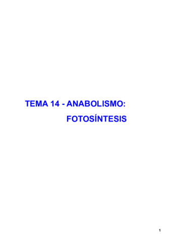 Tema14Anabolismo.pdf