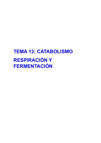 Tema13Catabolismo.pdf