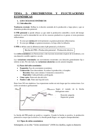TEMA-2.pdf