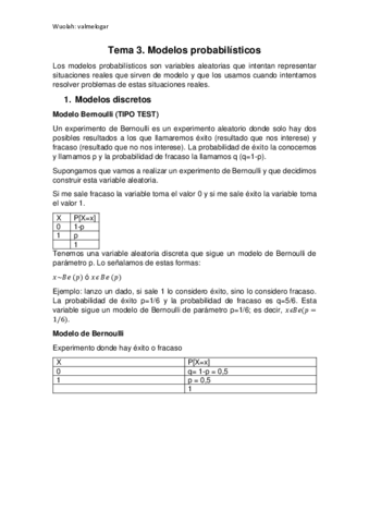 TEMA-3.pdf