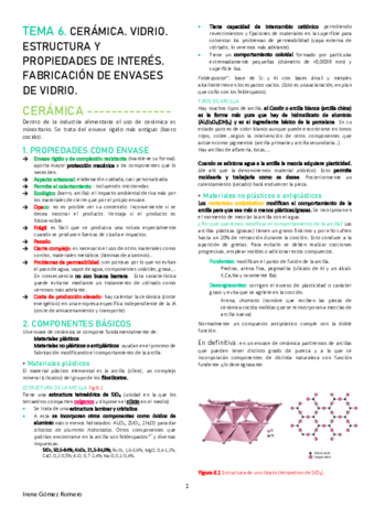 ENV-T6-1erParcial.pdf