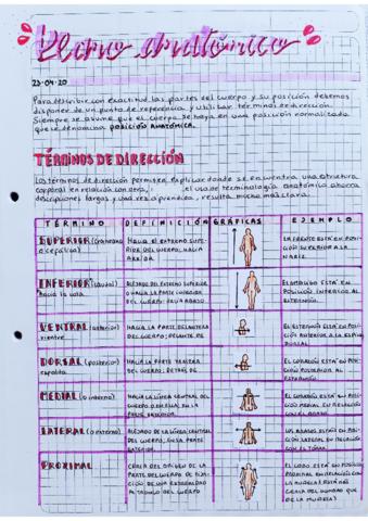 Planos-anatomicos.pdf