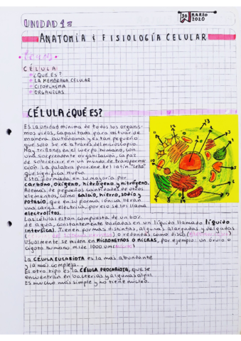 Anatomia-y-fisiologia-celular.pdf