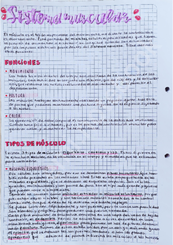 Sistema-muscular.pdf