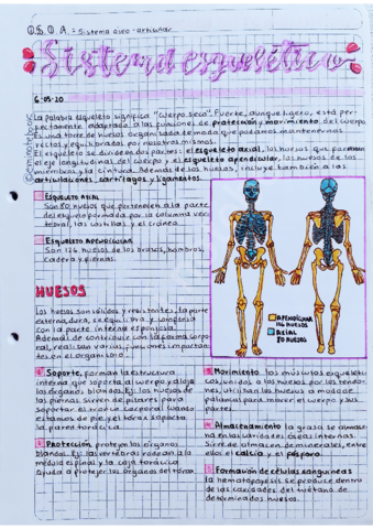 Sistema-osteoarticular.pdf