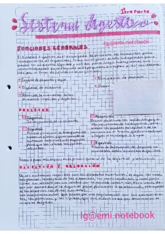 Sistema-Digestivo.pdf