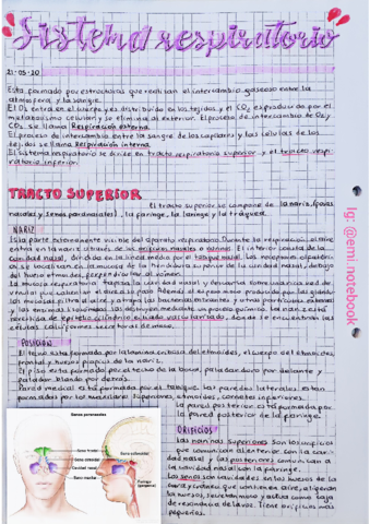Sistema-Respiratorio.pdf