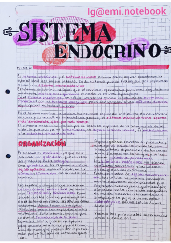 Endocrino.pdf