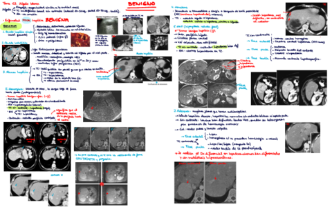 Rayos-Abdomen.pdf