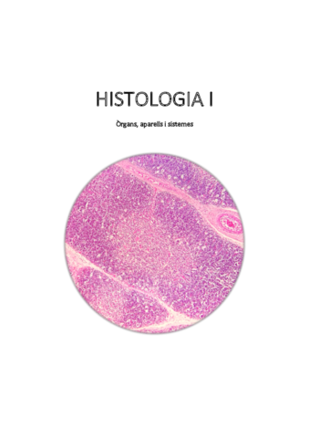 histo-imprimir.pdf