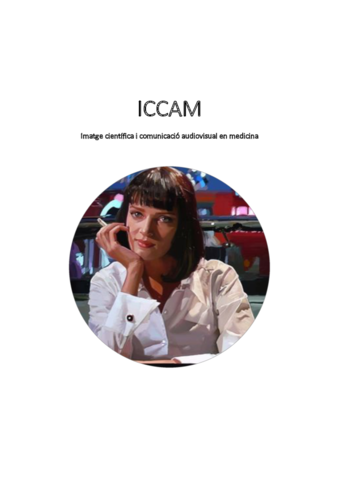 ICCAM-IMPRIMIR.pdf