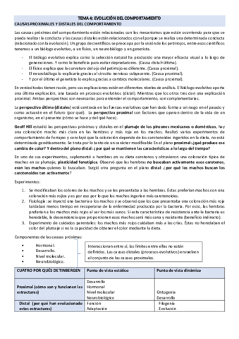 BC-TEMA-4-5.pdf