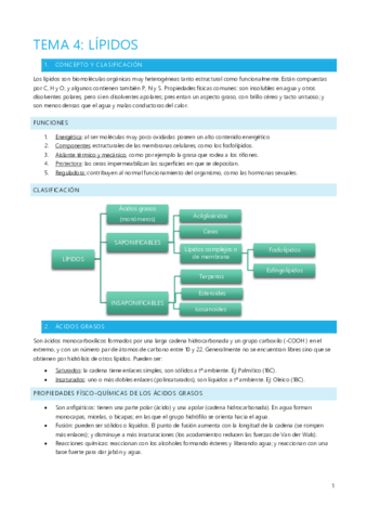 LÍPIDOS PROTEÍNAS Y ÁCIDOS NUCLEICOS.pdf