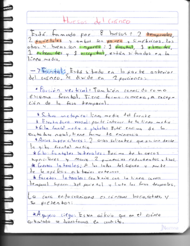 Huesos-Neurocraneales.pdf