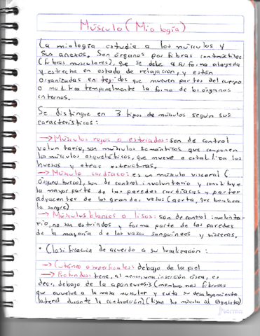 Musculos-Miologia.pdf