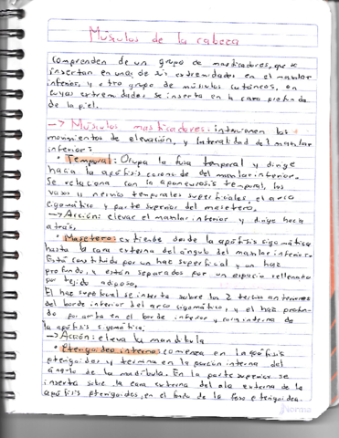 Musculos-de-la-cabeza.pdf