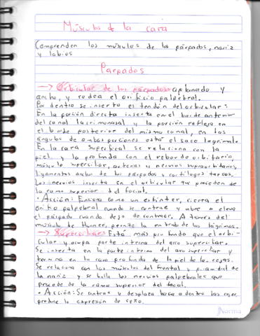 Musculos-de-la-cara.pdf