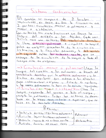 Circulacion-menor-y-mayor.pdf