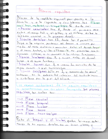 Plexos-Nerviosos.pdf